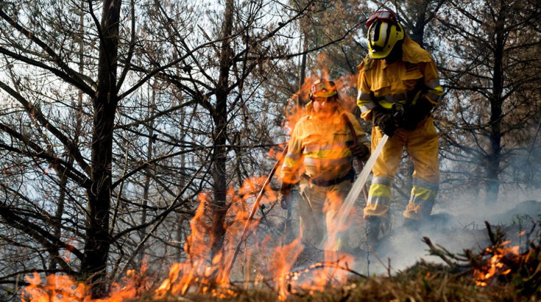 Δασικές πυρκαγιές 