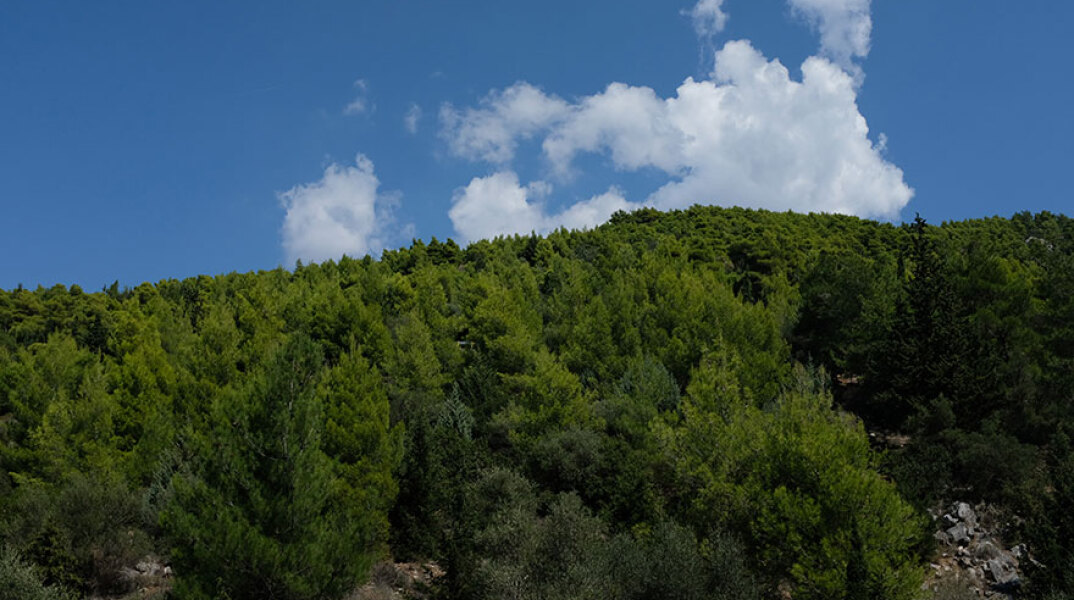 Ελληνικό Κτηματολόγιο