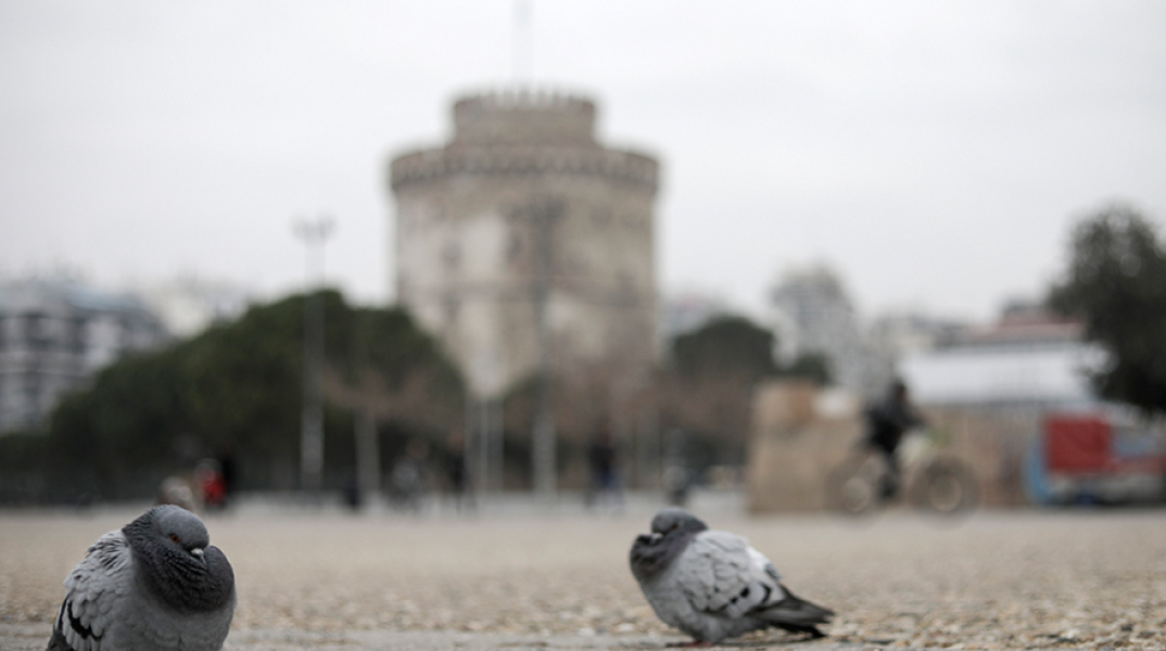 Περιστέρια