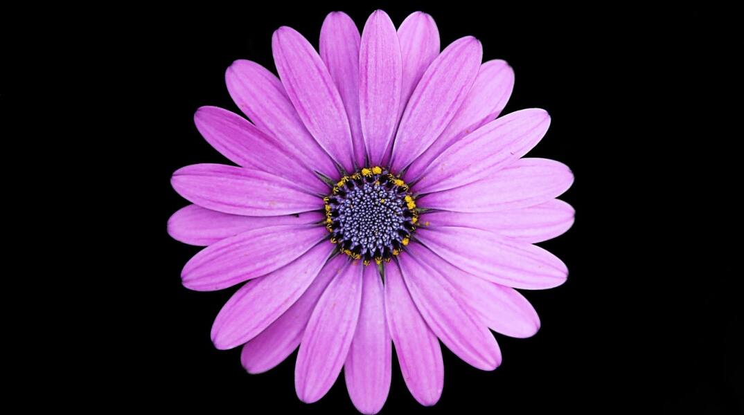 Ποιοι γιορτάζουν σήμερα 6 Απριλίου;