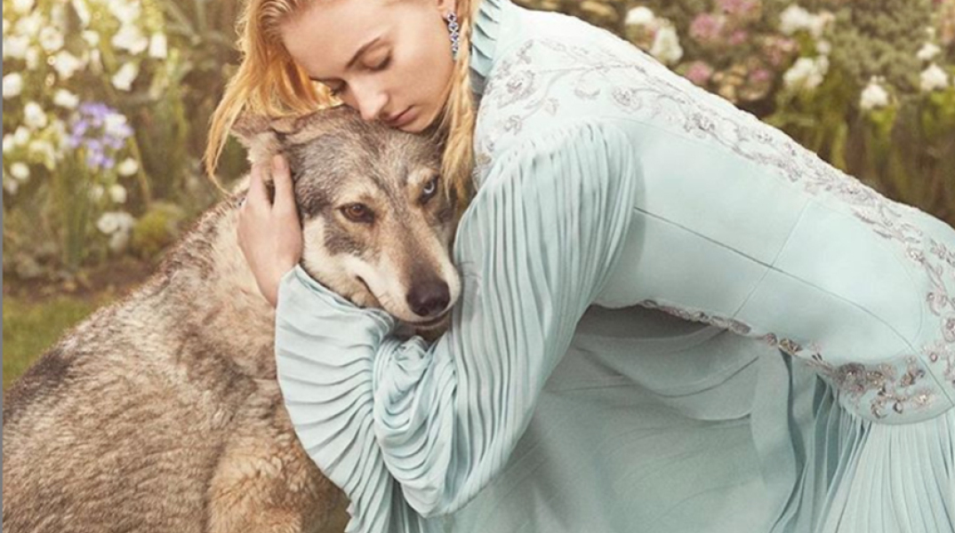 Σόφι Τέρνερ