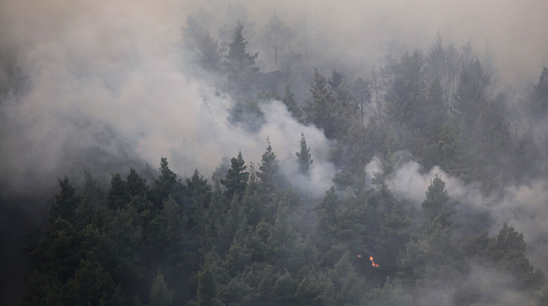 Δασική πυρκαγιά