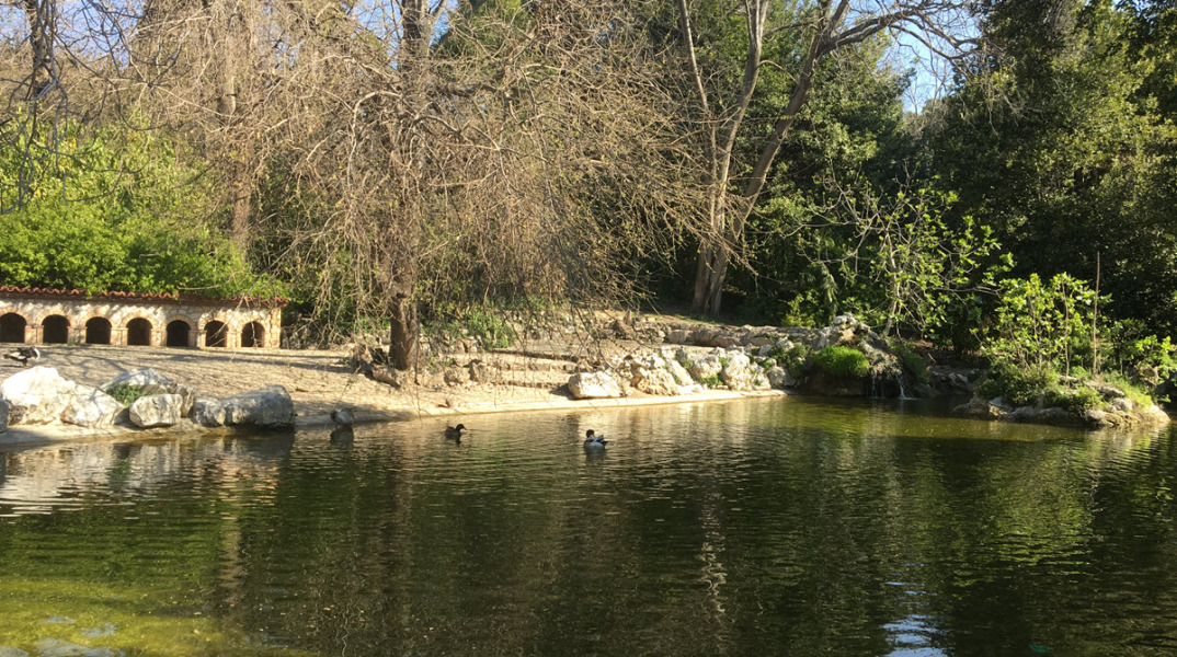 Canon PowerShot SX70 HS