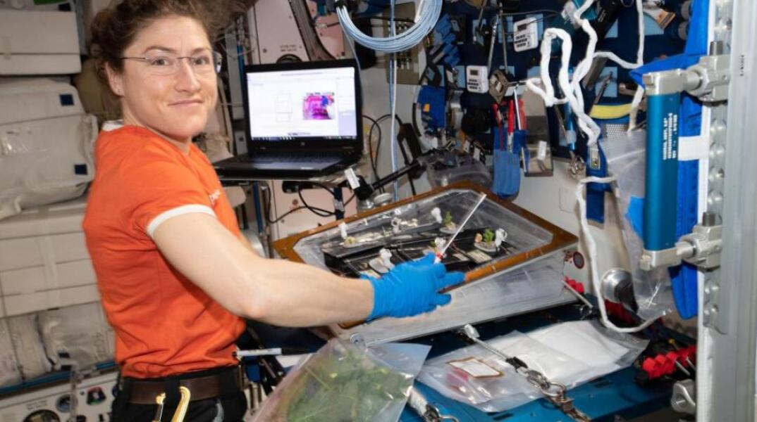 christinakochpiginasa