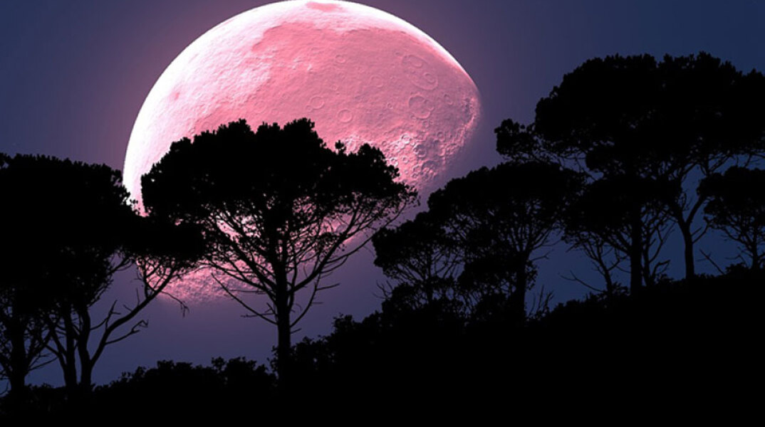 pink-moon
