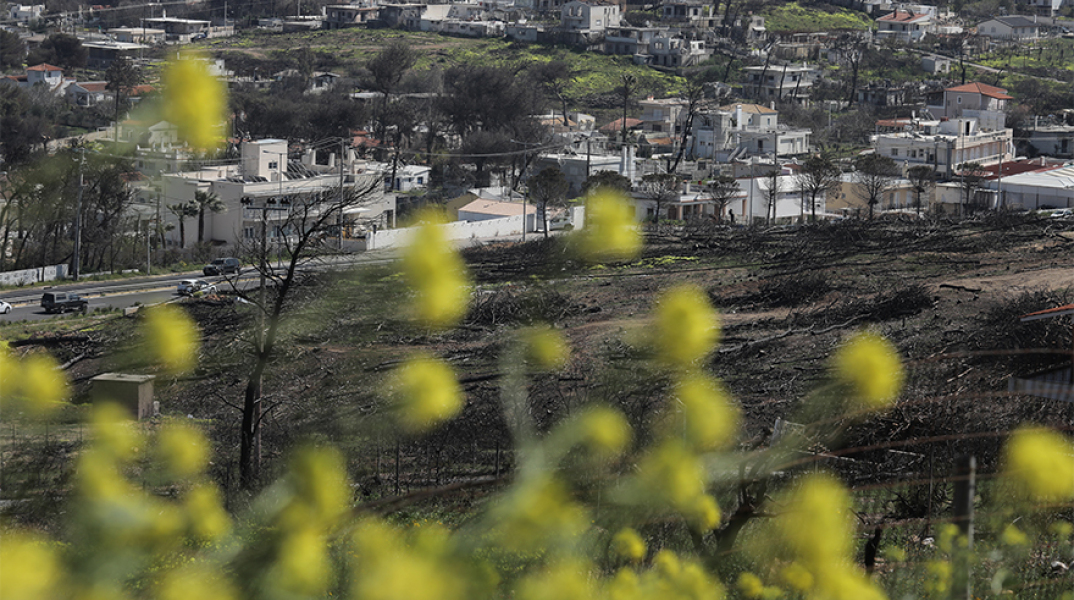 Πυρόπληκτο Μάτι
