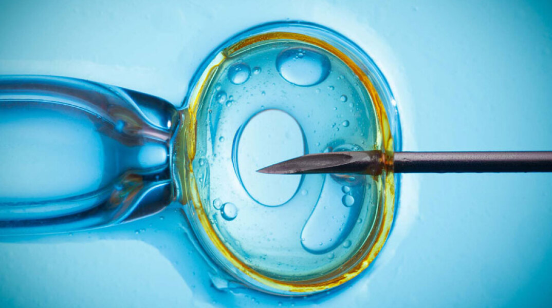 in-vitro-fertilization-close-up-ivface.jpg