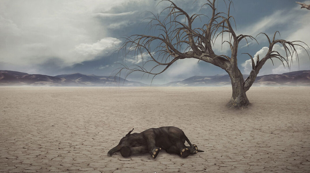 Ξηρασία / © Pixabay