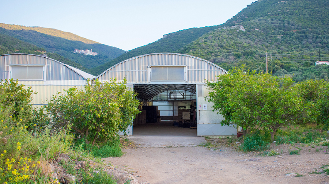 Θέατρο υπάρχει όπου υπάρχουν θεατές