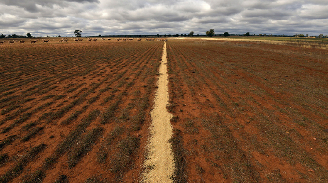 Ξηρασία στην Αυστραλία