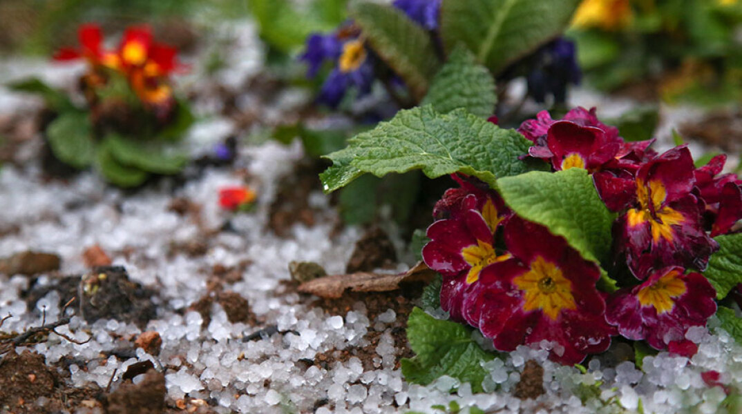 Χαλαζόπτωση