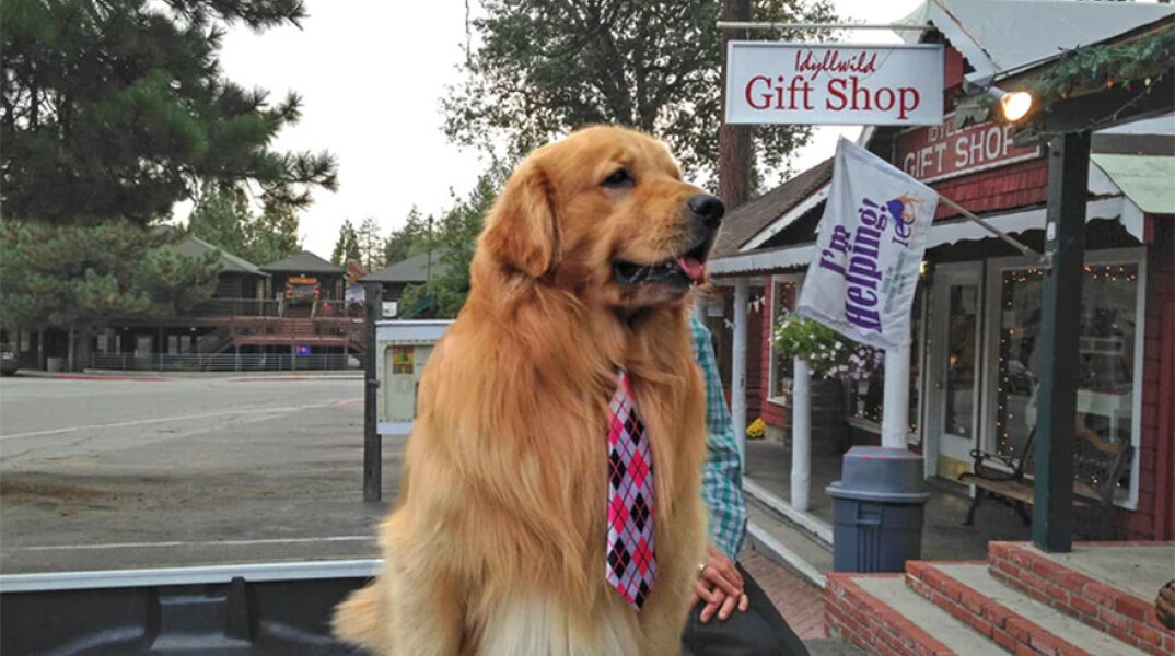 Δήμαρχος Μαξ