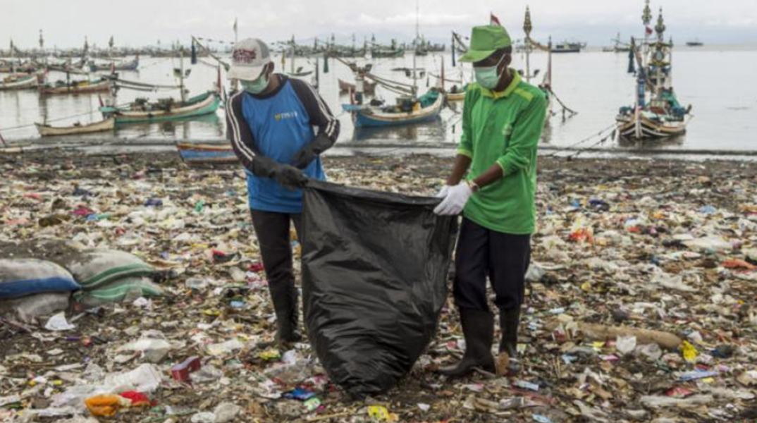 ΟΜΙΛΟΣ SCHWARZ RETAIL GROUP 