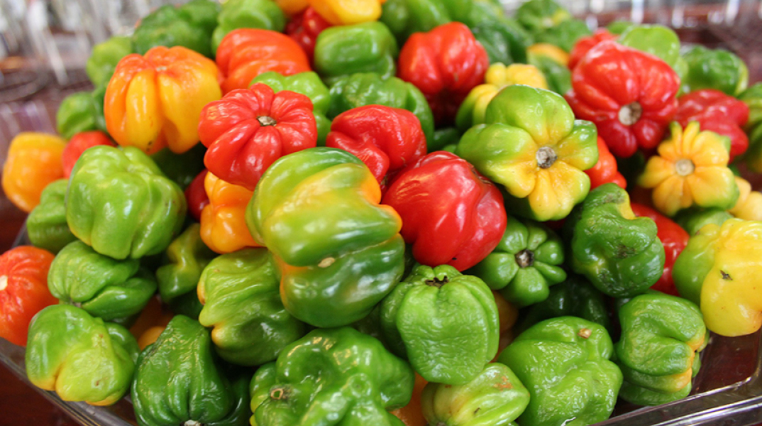 Βιολογικά Προϊόντα