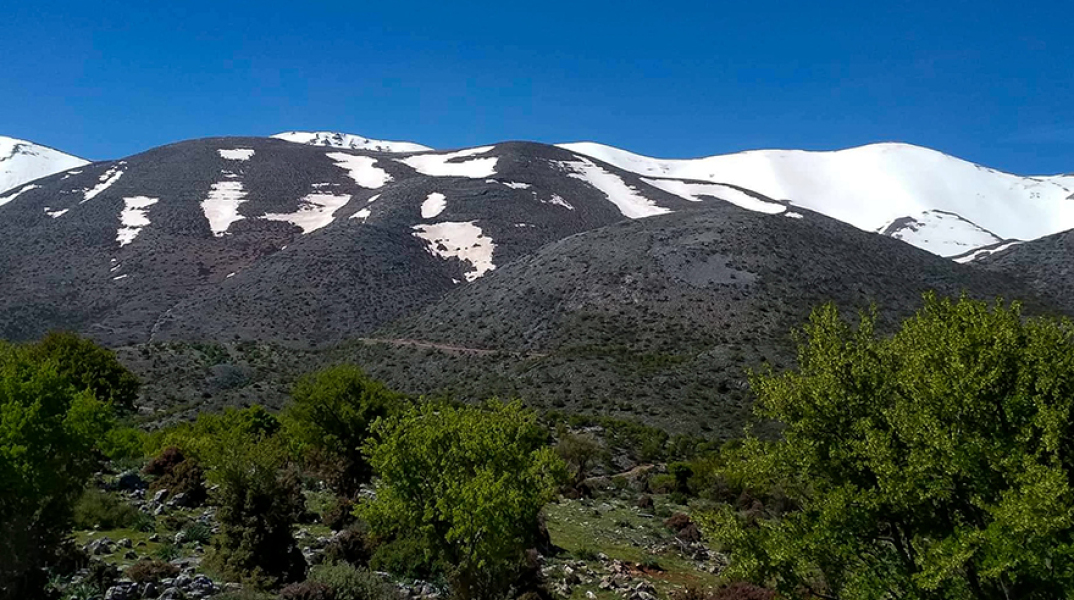 Ψηλορείτης