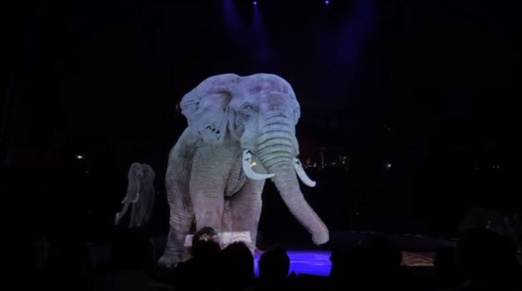 circus-holograms