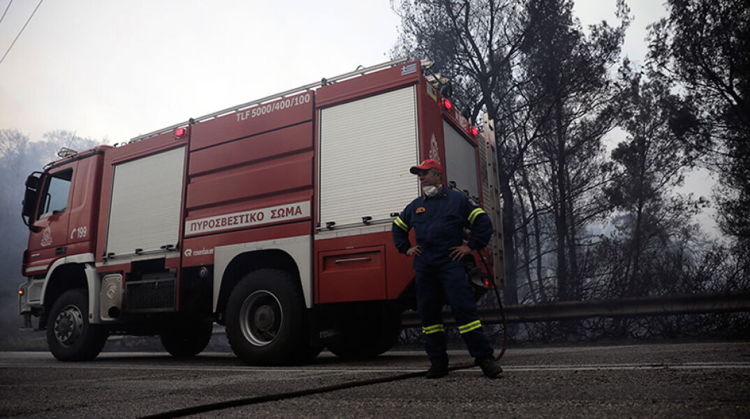 Δασική πυρκαγιά