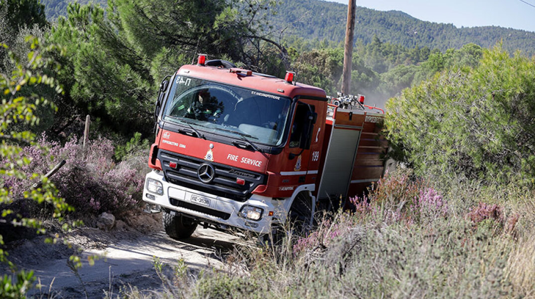 Δασική πυρκαγιά