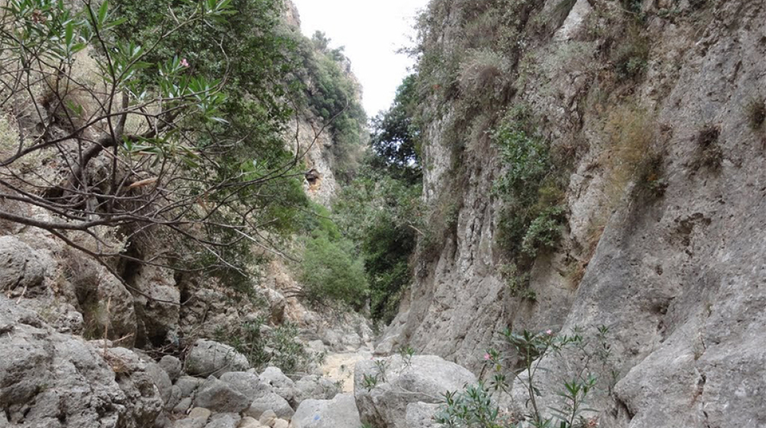 Φαράγγι Ρόκκας