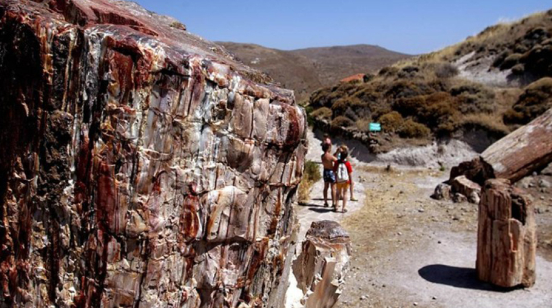 Απολιθωμένο Δάσος