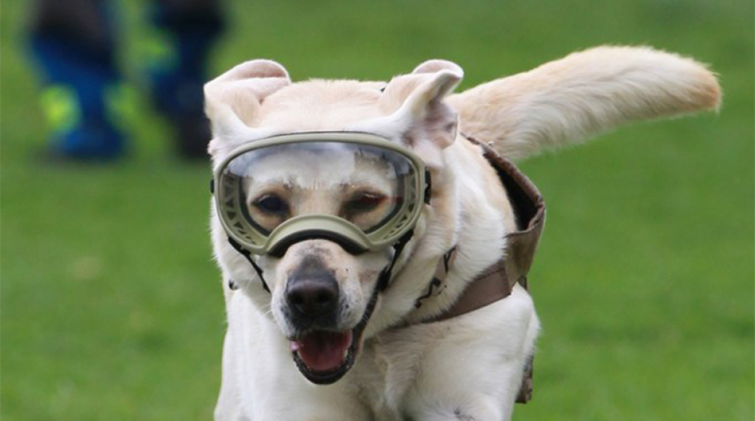 Η Φρίντα του Μεξικού