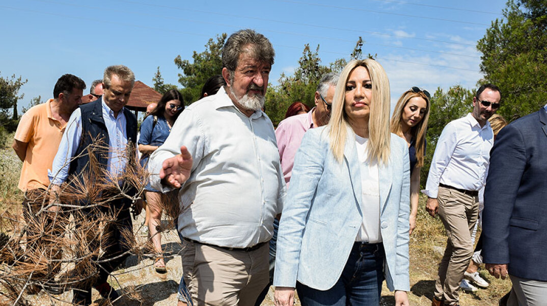 Σίμος Δανιηλίδης – Φώφη Γεννηματά  