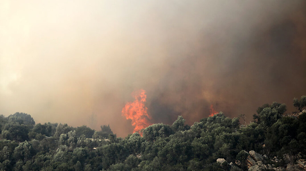 Δασική πυρκαγιά