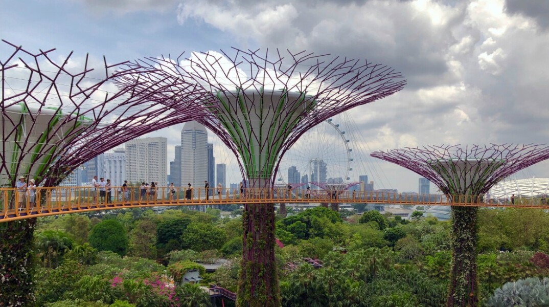 © Nick Fewings/ Unsplash