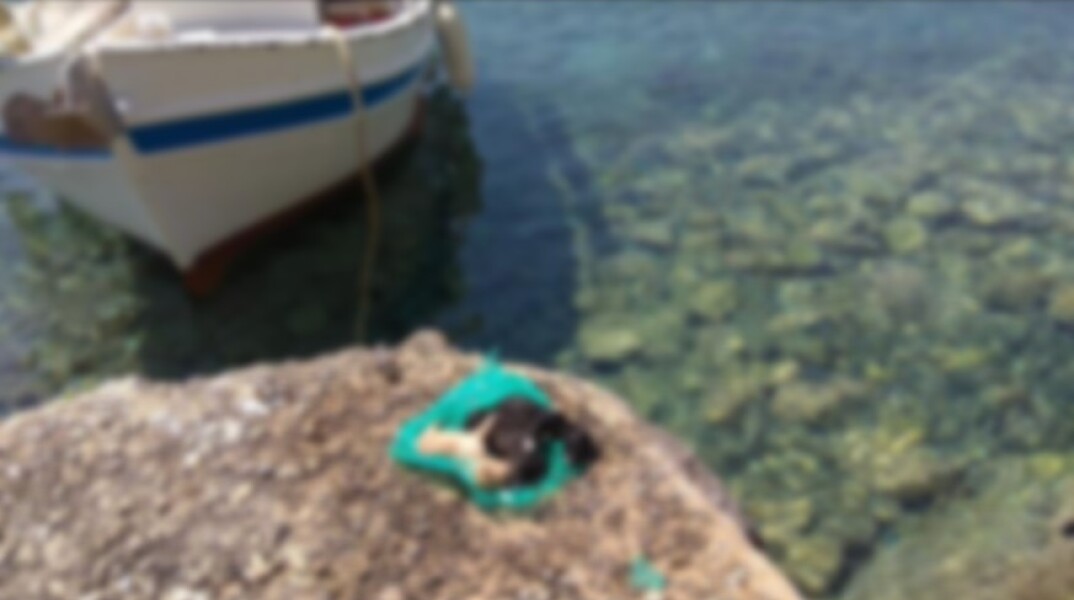 Κουταβάκια νεκρά μέσα σε πλαστική σακούλα στη Βάρη Σύρου 