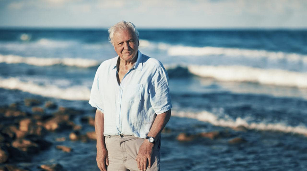 Ντέιβιντ Ατένμπορο