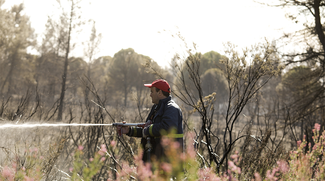 Φωτιά στη Μάνδρα