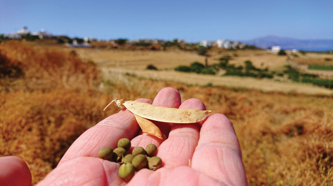 Φωτό: ΓΙΑΝΝΗΣ ΓΑΒΑΛΑΣ