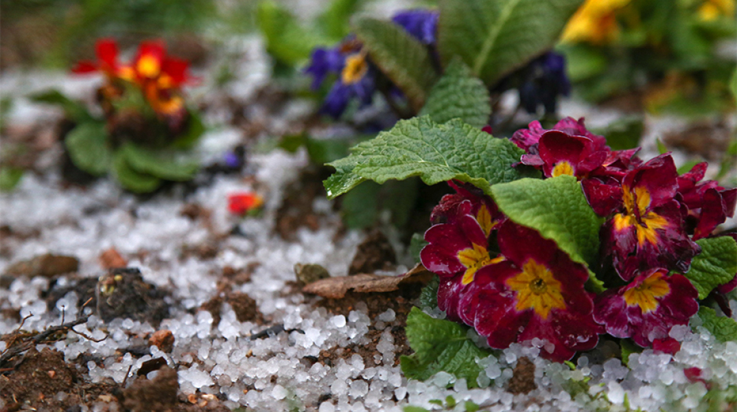 Χαλαζόπτωση