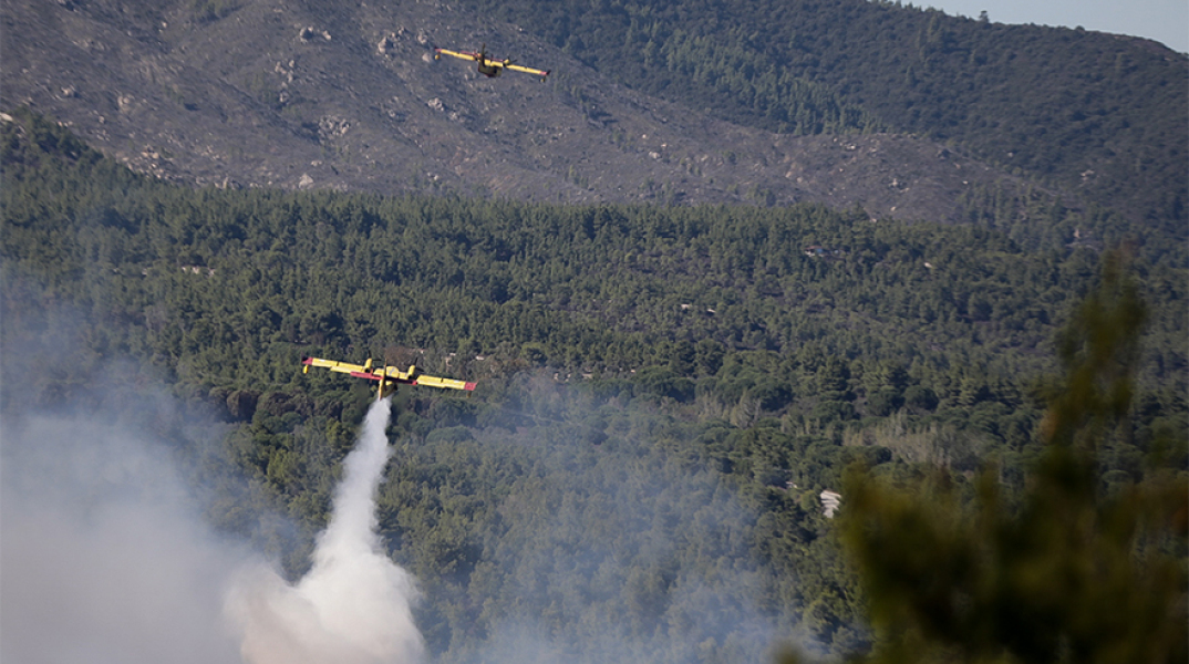 Φωτιά στην Εύβοια
