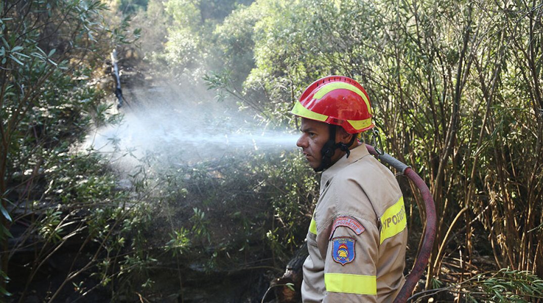 Δασική πυρκαγιά