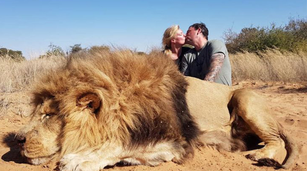 Σαφάρι στη Νότια Αφρική