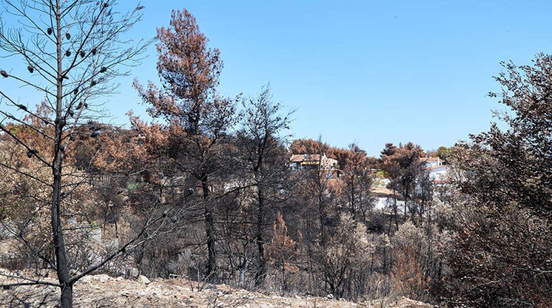 Φωτιά στο Μάτι