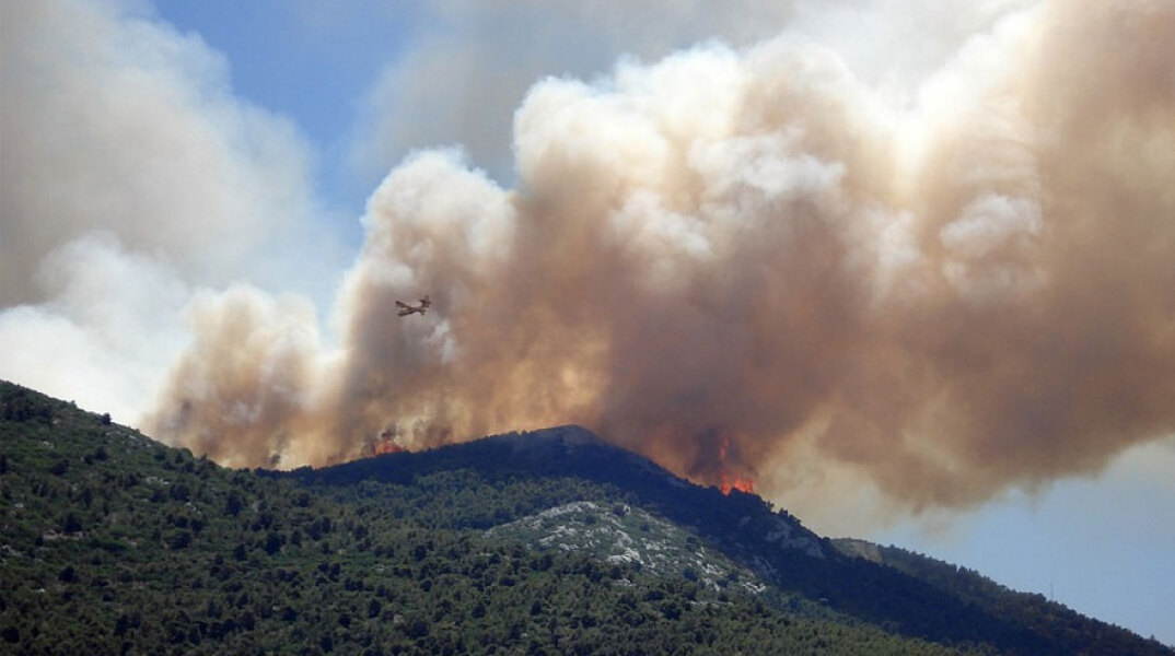 Δασική πυρκαγιά