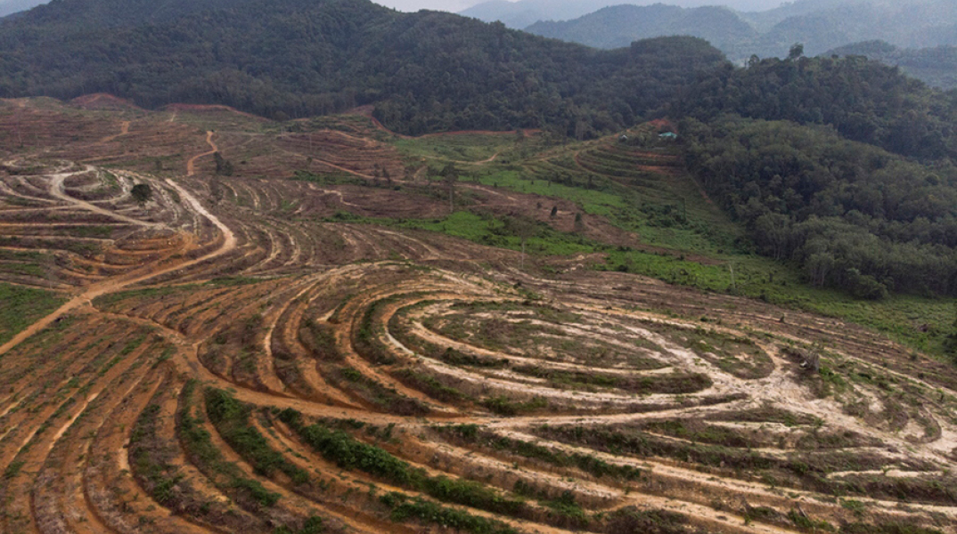 Αεροφωτογραφία της αποψίλωσης δασών στη Βραζιλία