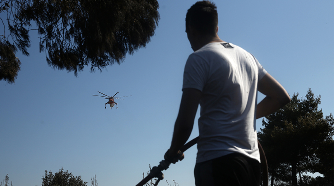 Υπό πλήρη έλεγχο η φωτιά στη Θάσο