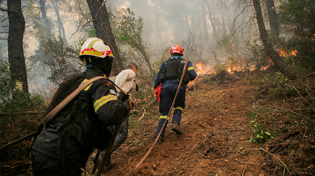 Μάχη με τις φλόγες στην Εύβοια