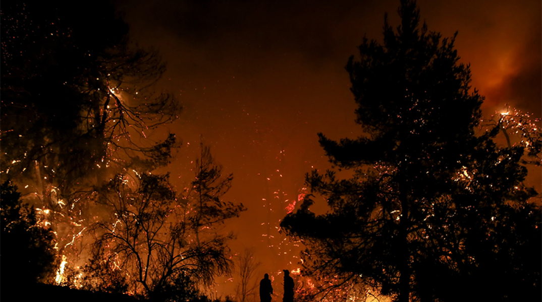 Φωτιά στην Εύβοια καίει πευκοδάσος Natura