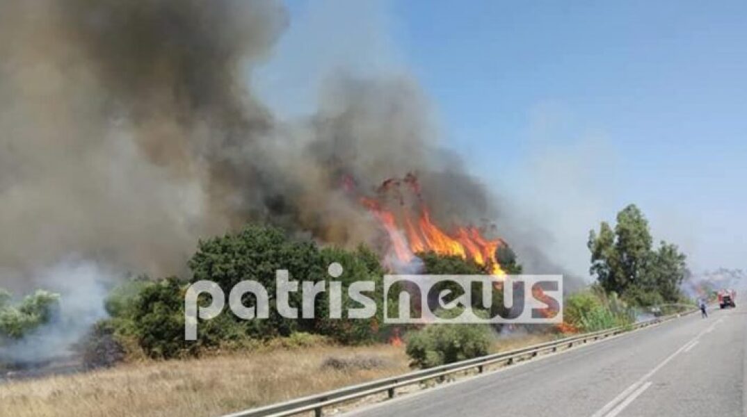 Φωτιά στη Βάρδα Ηλείας 