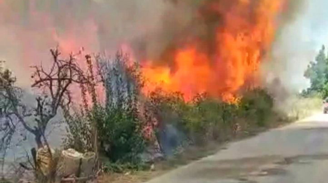 Φωτιά στη Νέα Κίο Αργολίδας  
