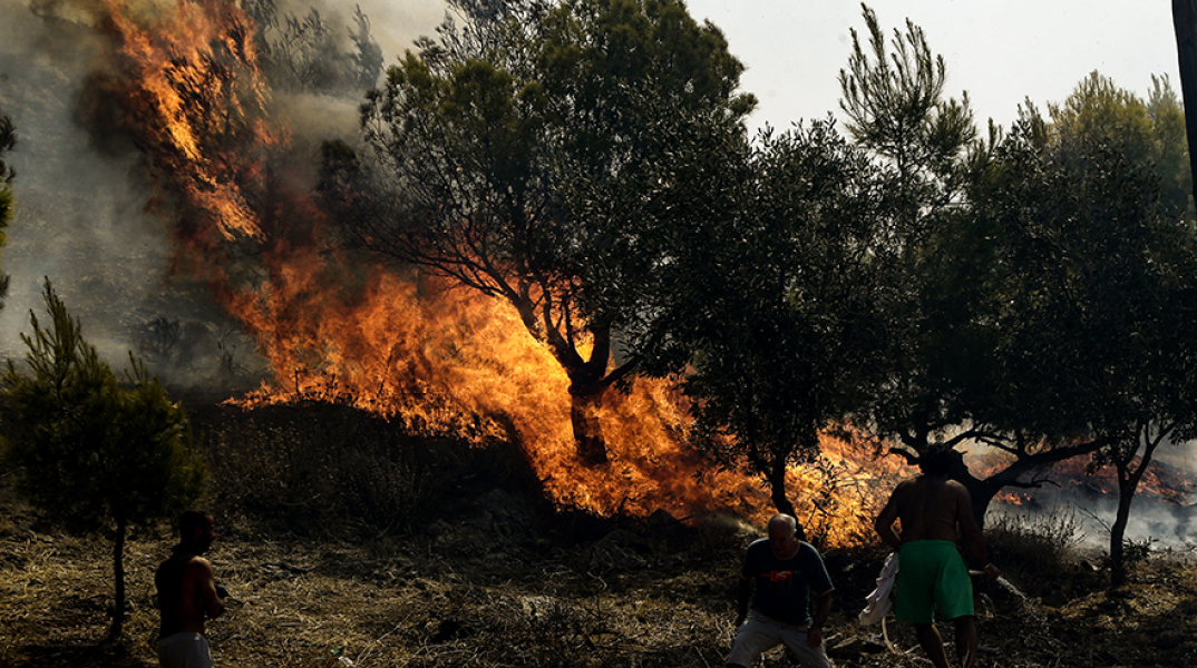 Φωτιά στη Νέα Μάκρη