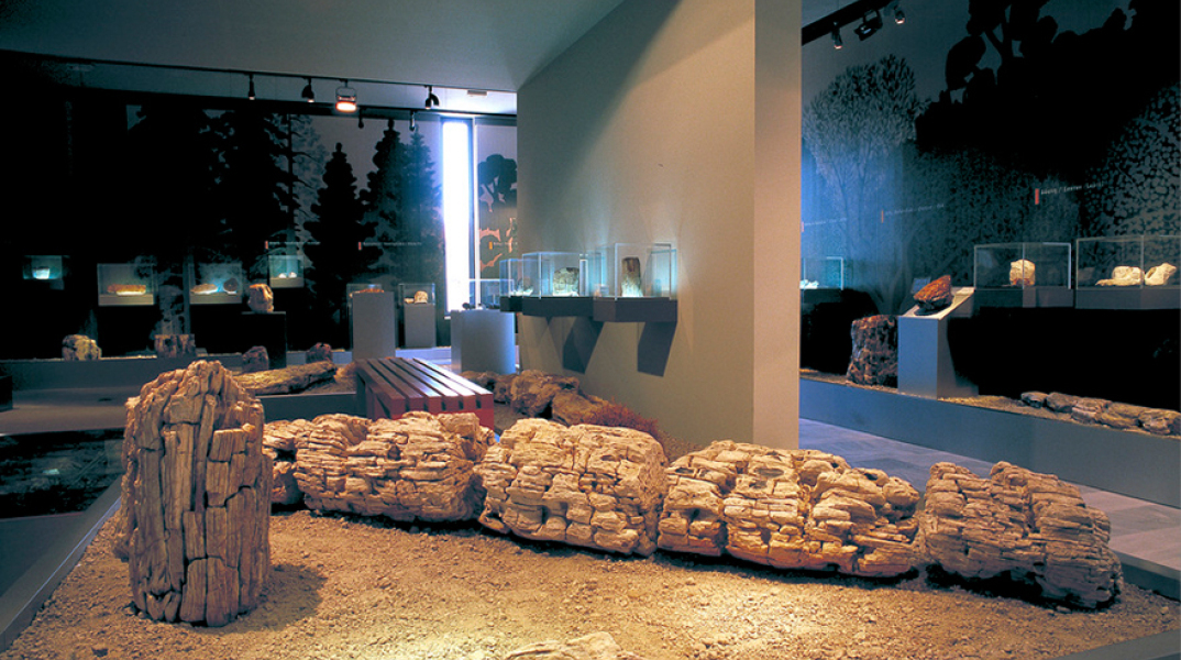 Μουσείο Φυσικής Ιστορίας Απολιθωμένου Δάσους Λέσβου