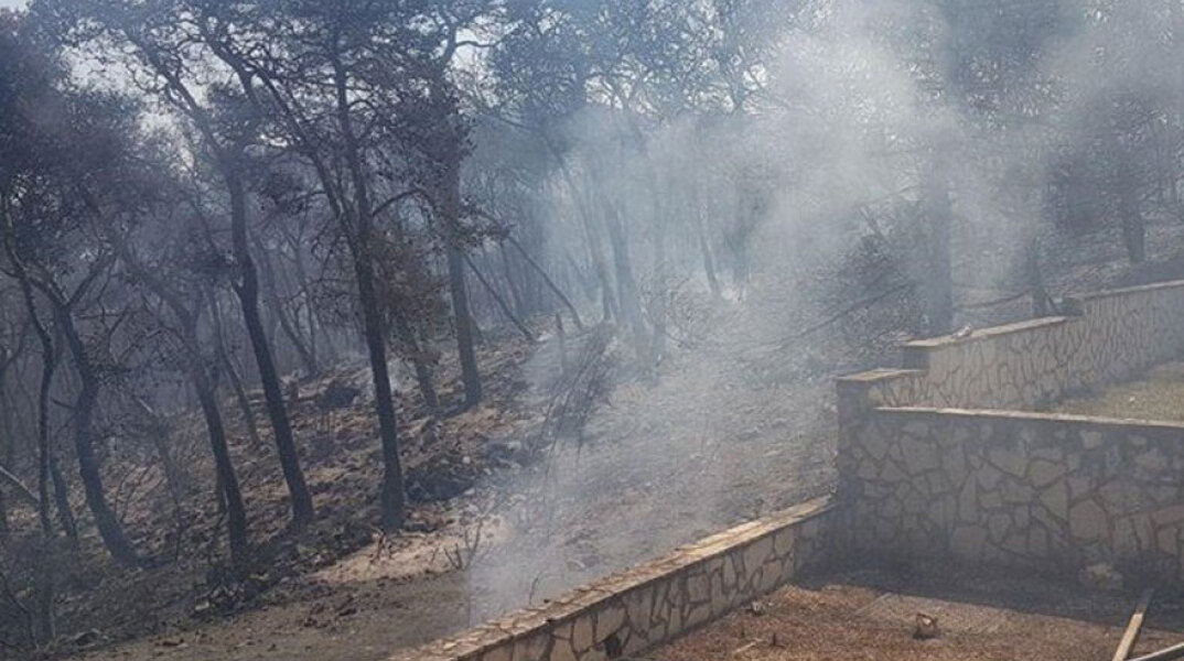 Πυρκαγιά στη Ζάκυνθο: Η φωτιά προκάλεσε υλικές ζημιές σε ξενοδοχείο στο Κερί