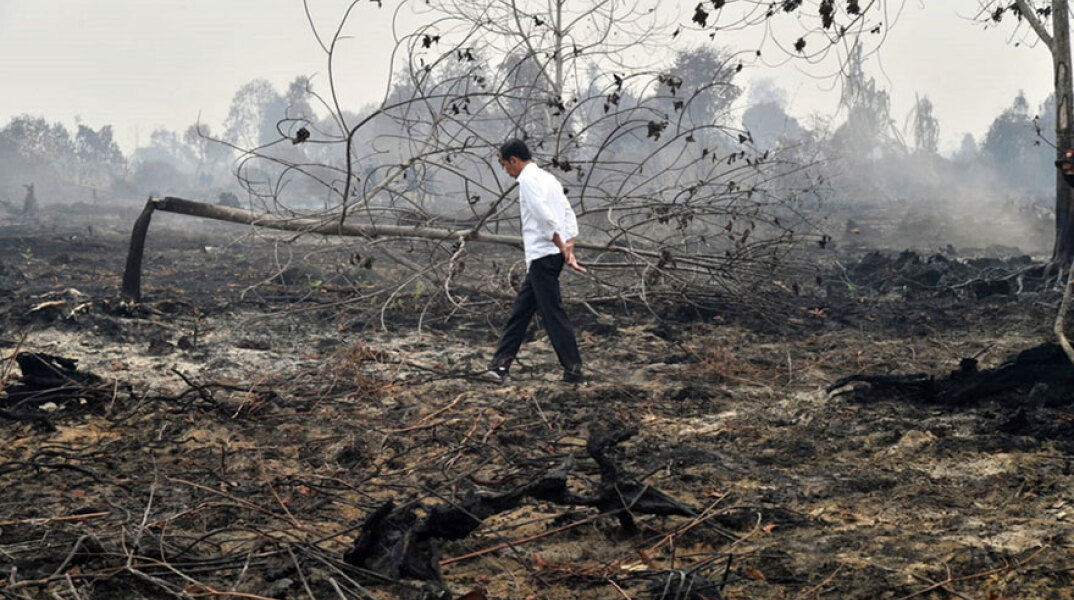 Καμένο δάσος στο Βόρνεο - Οι αρχές εξετάζουν την πιθανότητα καλλιεργητές φοινικέλαιου να βρίσκονται πίσω από τις πυρκαγιές