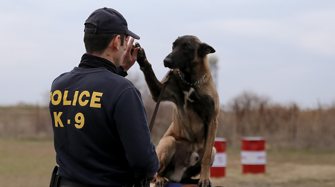 Σκύλος αστυνομίας