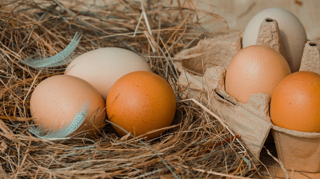 Παγκόσμια Ημέρα Αυγού: Το «χάπι βιταμινών» της φύσης
